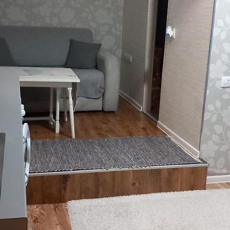 Cozy Studio In The Heart Of Cluj Luaran gambar